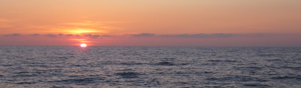 Patrick and the World