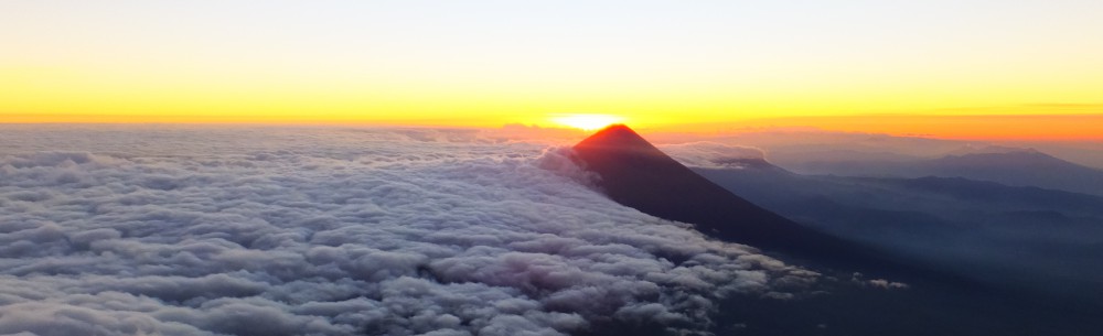 Patrick and the World